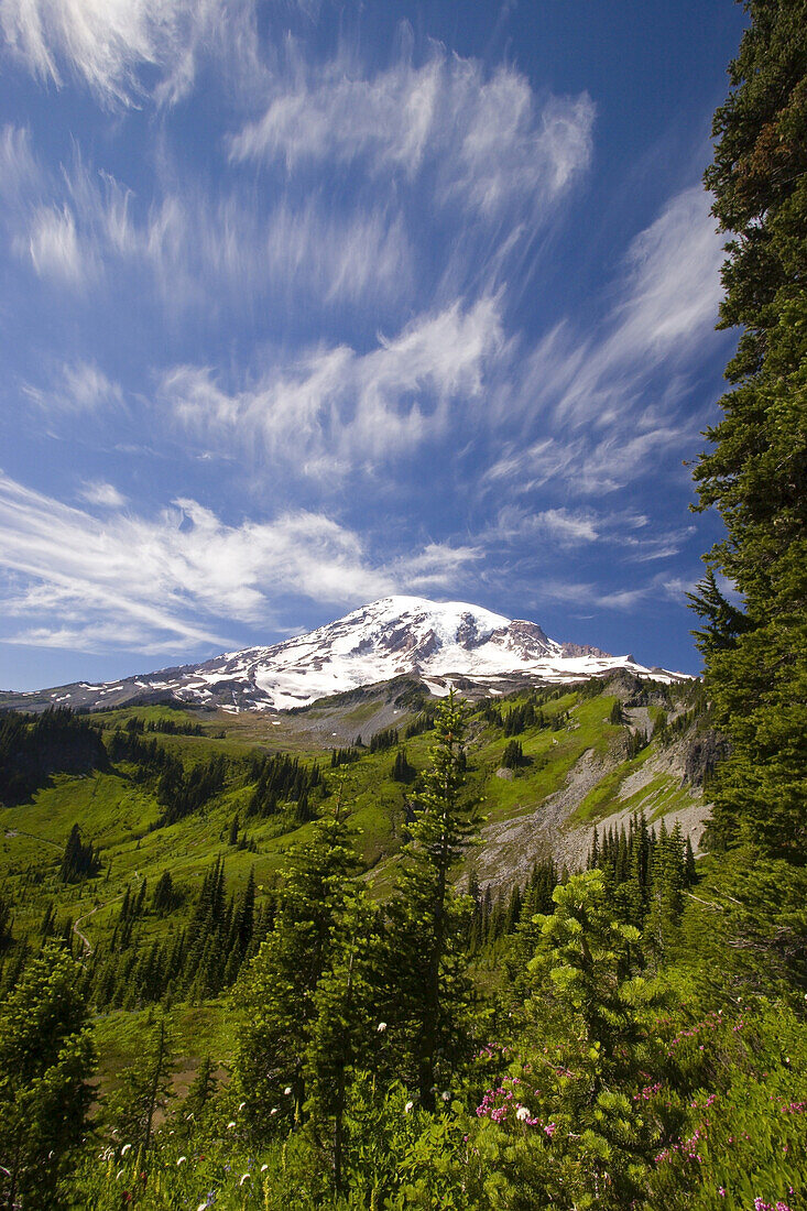 Wald und üppiges grünes Laub bedecken die alpine Wiese am Berghang des Mount Rainier im Paradise Park im Mount Rainier National Park, Washington, Vereinigte Staaten von Amerika