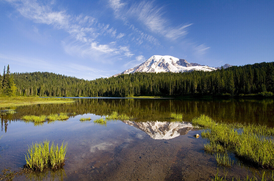 Forest and Mount Rainier reflected in a lake in Mount Rainier National Park,Washington,United States of America