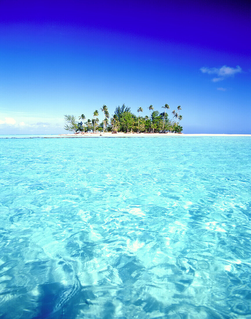 Kleine tropische Insel und weißes Sandatoll auf den Inseln über dem Winde mit klarem, türkisfarbenem Wasser und strahlend blauem Himmel, Französisch-Polynesien
