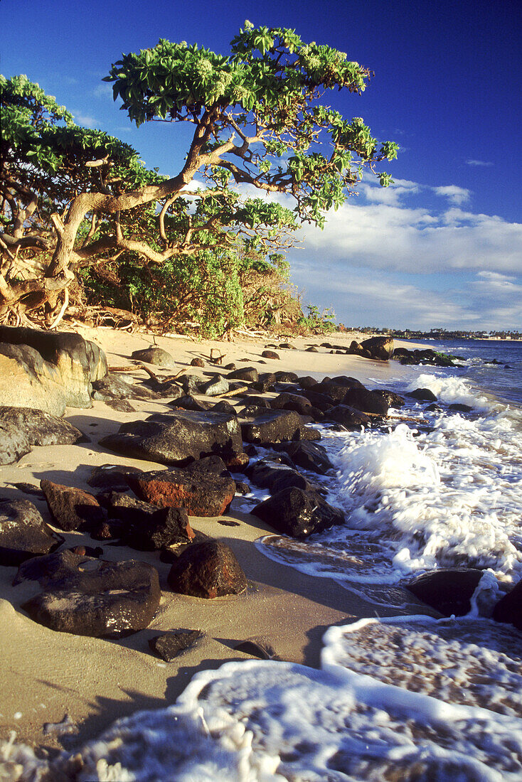 Surf splashing onto a beach with rocks and a view of the coastline in the distance,Kauai,Hawaii,United States of America