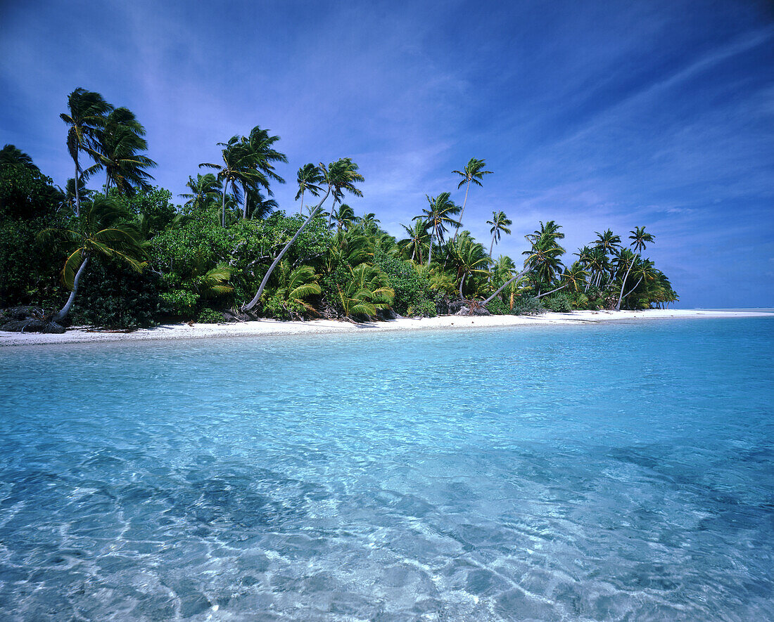 Palm trees line the white sand beach of an island with clear turquoise water and blue sky,Cook Islands