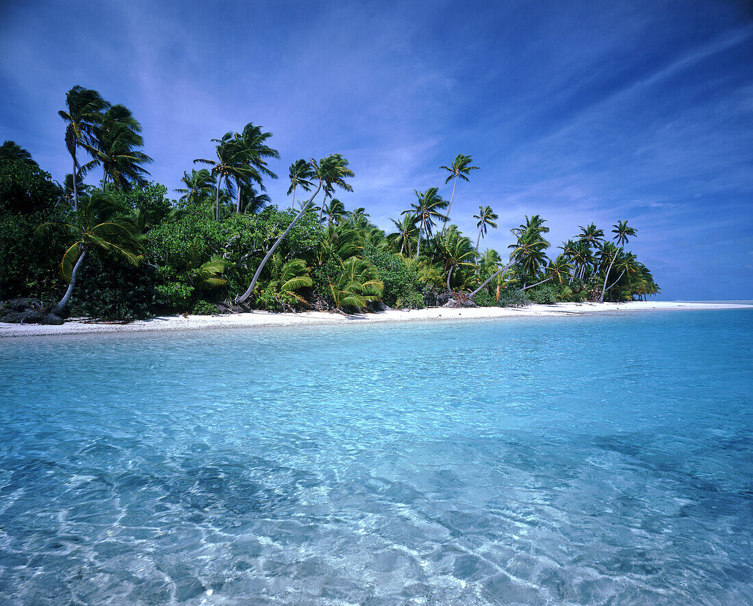 Palmen säumen den weißen Sandstrand einer Insel mit klarem, türkisfarbenem Wasser und blauem Himmel,Cook-Inseln