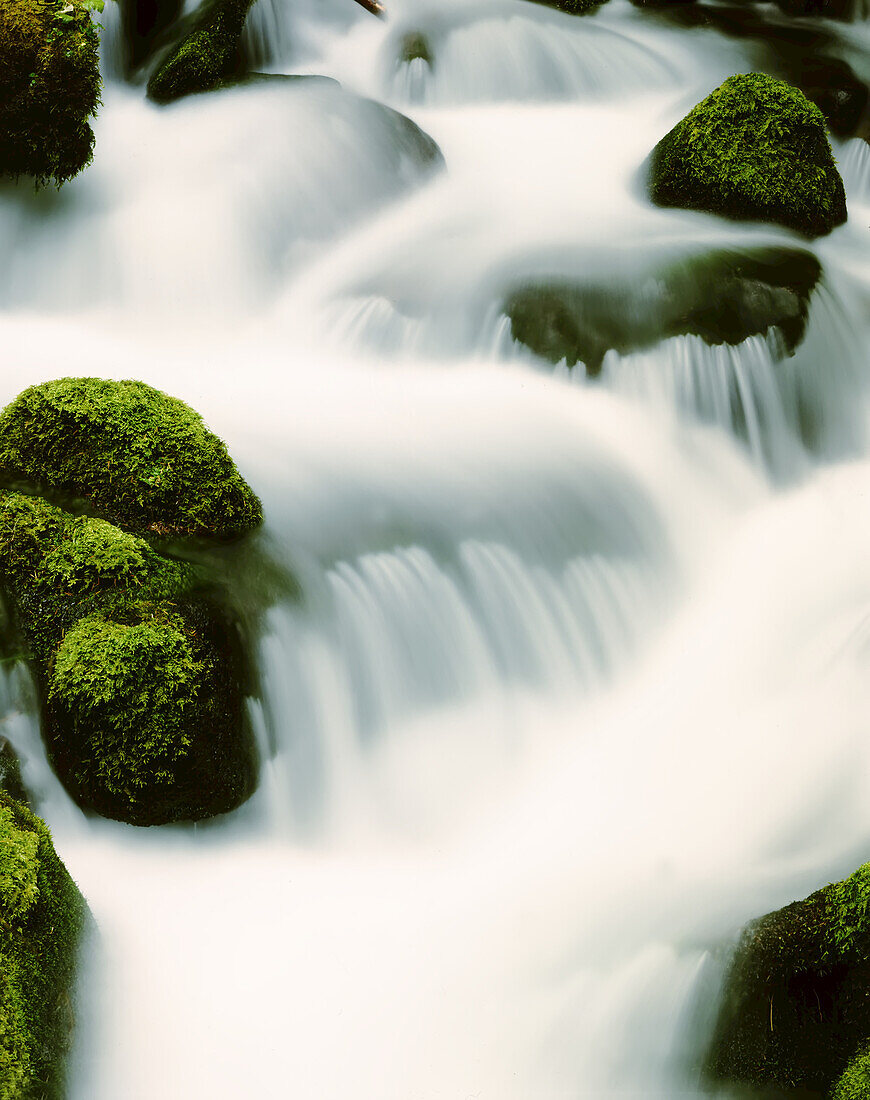 Motion blur of cascading water flowing over moss-covered rocks,Oregon,United States of America