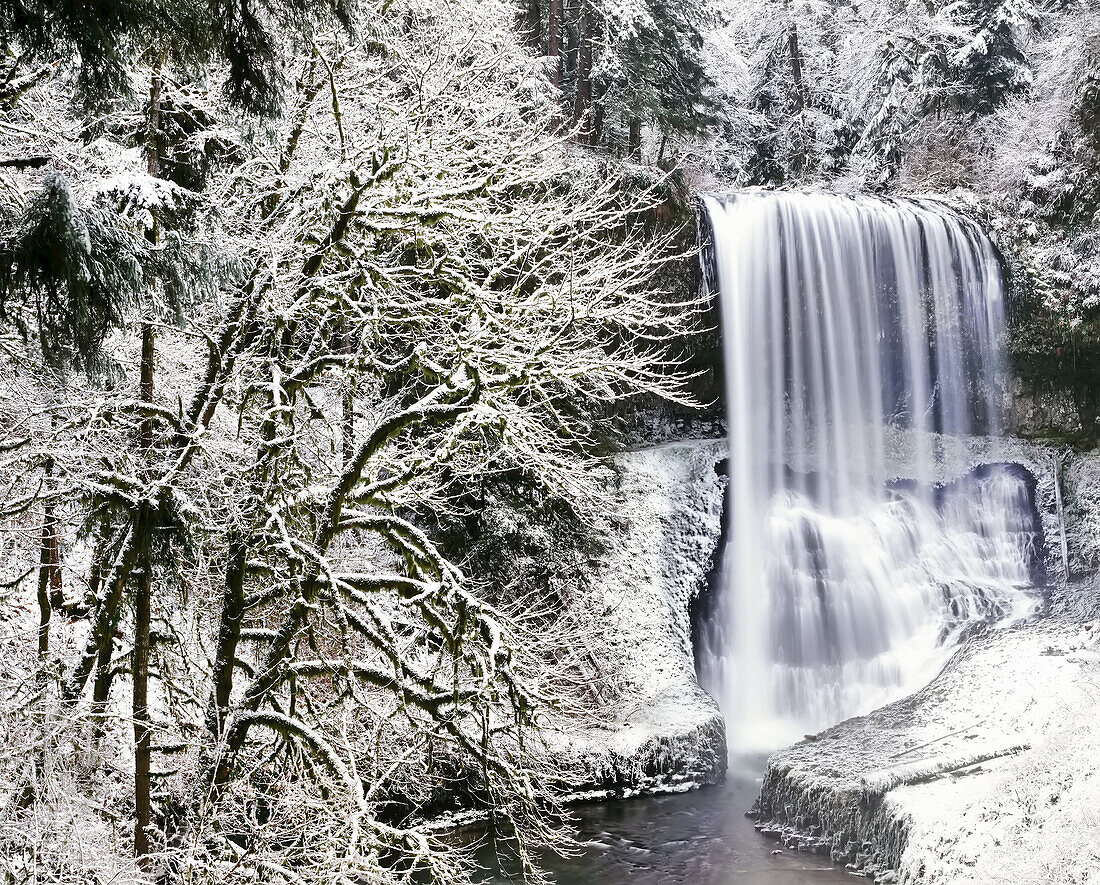 Wasserfall im Silver Falls State Park im Winter, Oregon, Vereinigte Staaten von Amerika