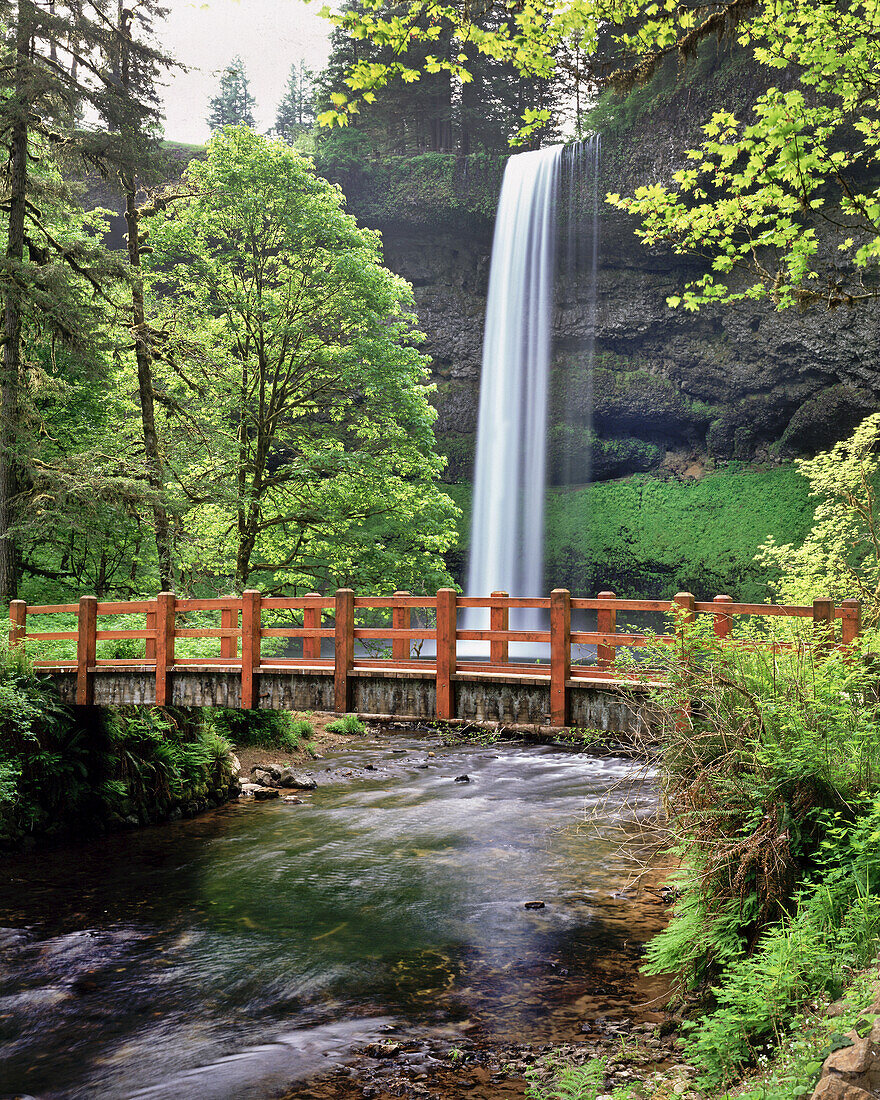 Footbridge over a stream with a waterfall in Silver Falls State Park,Oregon,United States of America