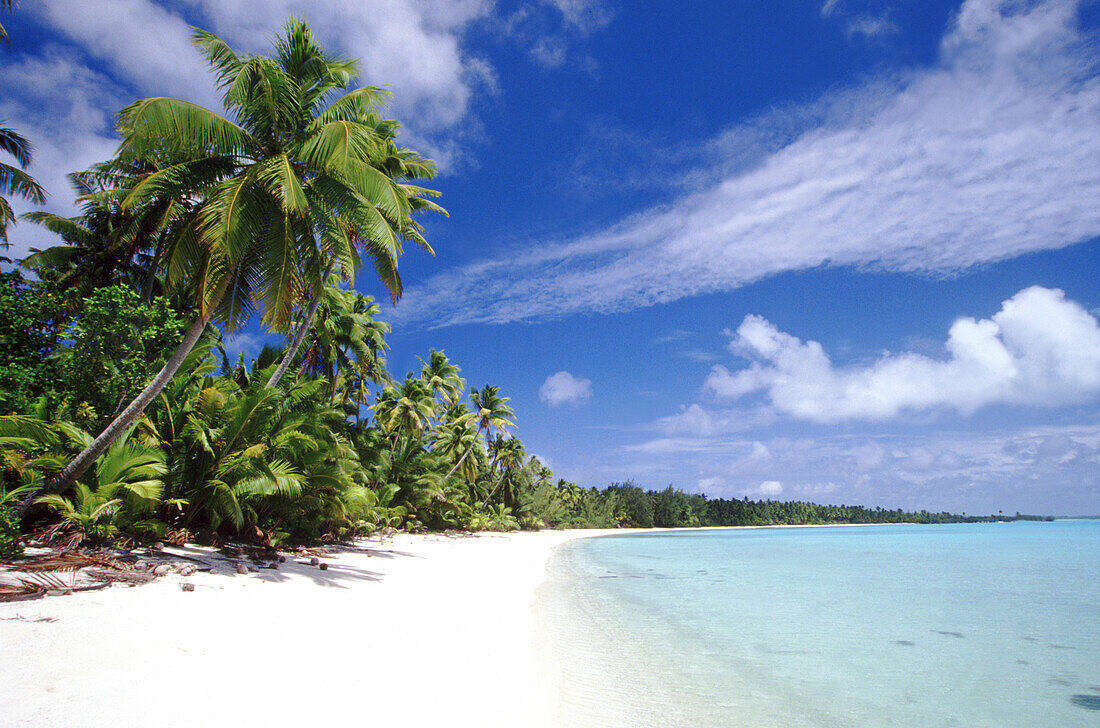 Ein tropisches Paradies auf den Cook-Inseln mit Palmen, weißem Sand und türkisfarbenem Meerwasser,Cook-Inseln