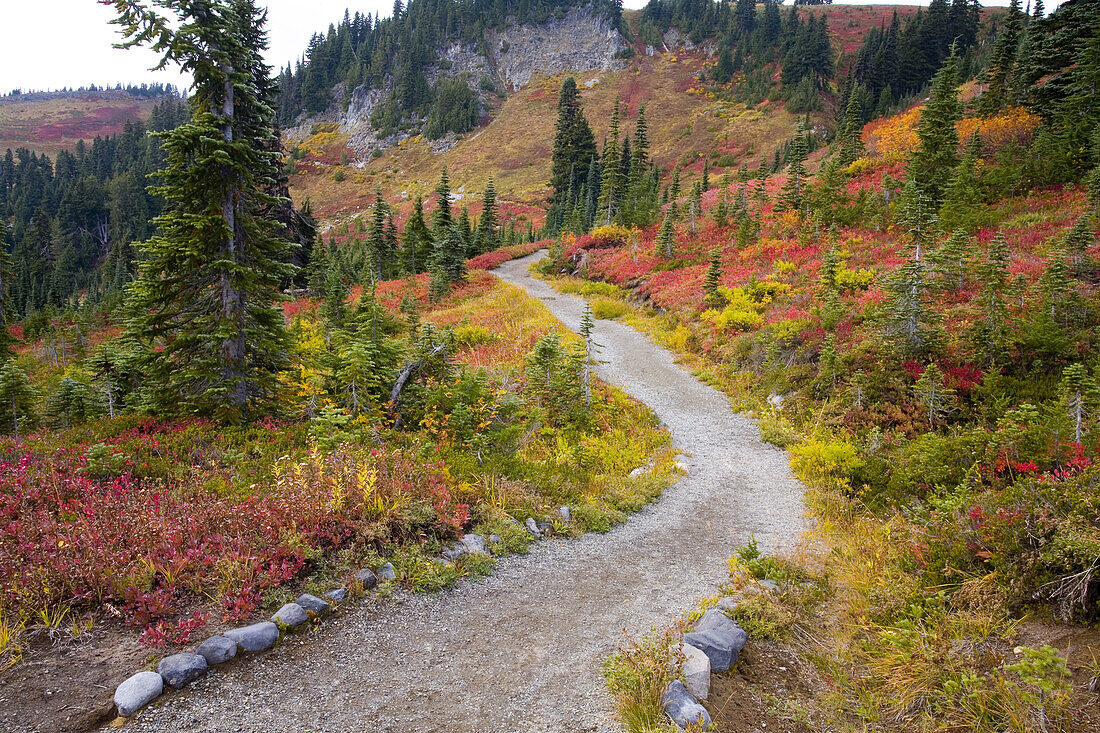 Trail through Mount Rainier National Park in autumn,Washington,United States of America