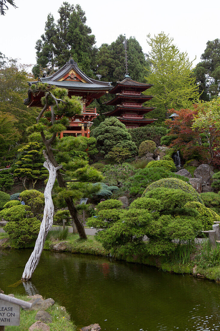 A scenic view of a pagoda,gardens,and a calm pond in the landscaped gardens in San Francisco's Japanese Tea Garden.,Japanese Tea Garden,San Francisco,California