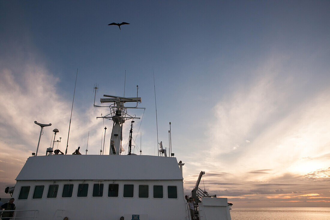 A bird soars over an expedition vessel en route to the Galapagos Islands.,Pacific Ocean,Galapagos Islands,Ecuador