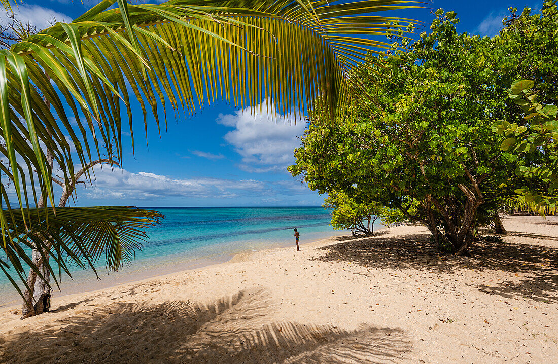 Anse du Souffleur,Port-Louis,Grande-Terre,Guadeloupe,Französisch-Westindien,Port-Louis,Grande-Terre,Guadeloupe,Frankreich