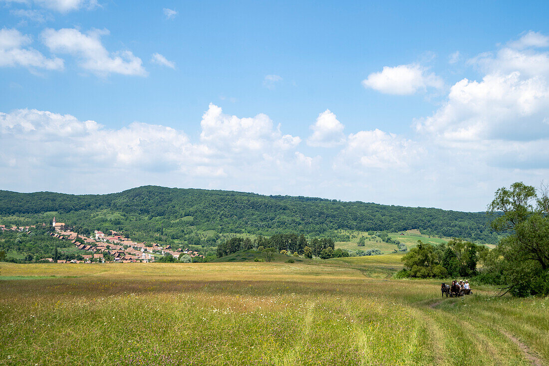 Menschen überqueren Wildblumenwiese oberhalb des Dorfes Mesandorf mit Pferd und Wagen,Siebenbürgen,Rumänien,Mesandorf,Siebenbürgen,Rumänien