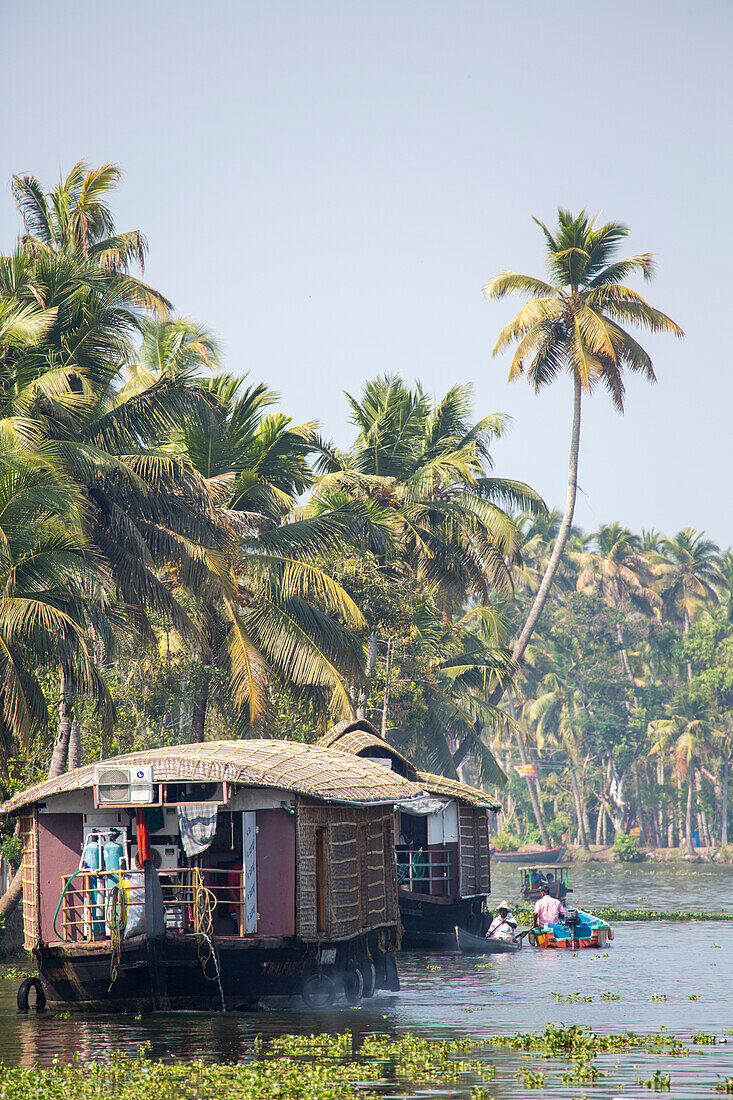 Traditional rice barges converted into tourist boats on the backwaters of Kerala,India,Kerala,India