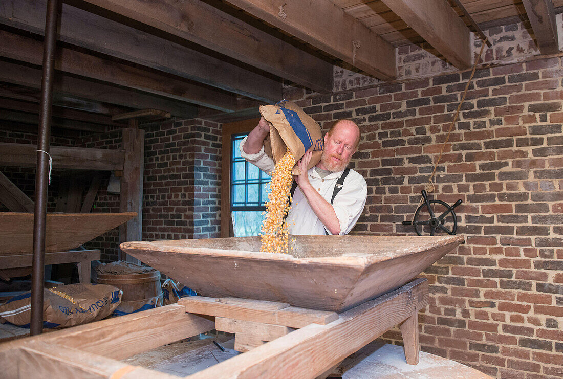 Ein Müller mahlt Mais im Aldie Mill Museum in Aldie, Virginia.