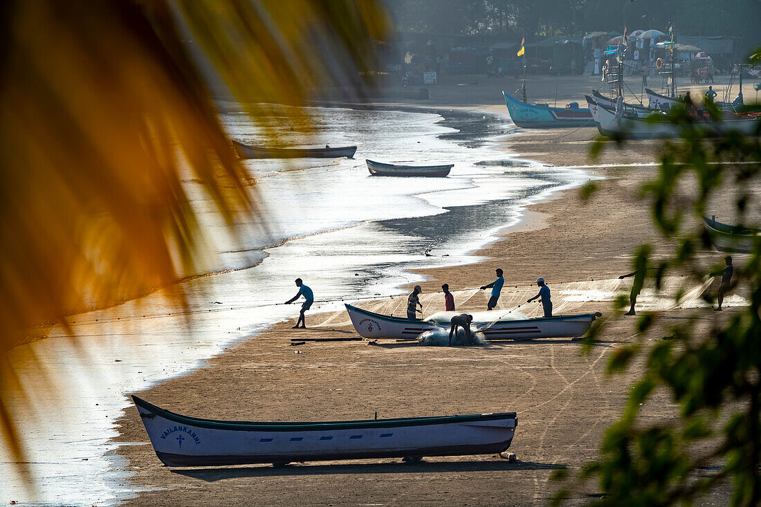 Fishermen hauling in nets at Dolphin Bay,Goa,India,Panjim,Goa,India