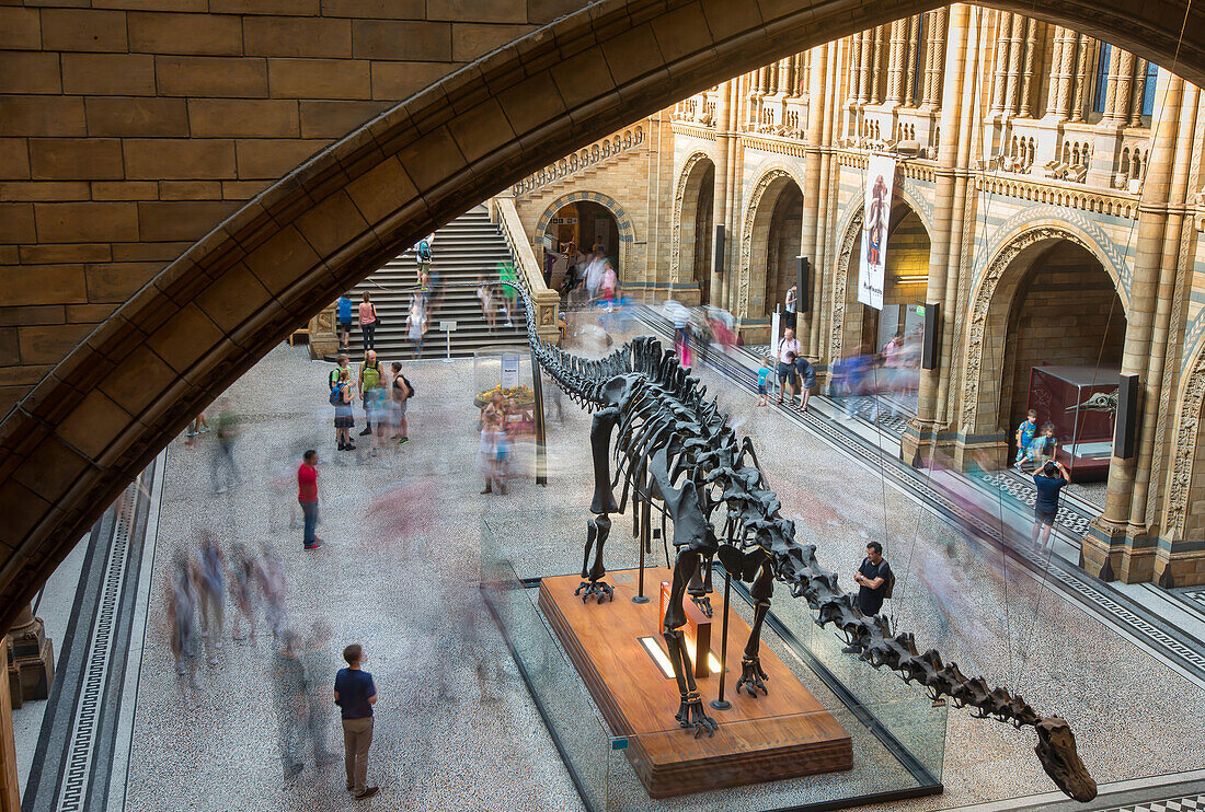 Tourists explore the British Museum of Natural History in London,England.