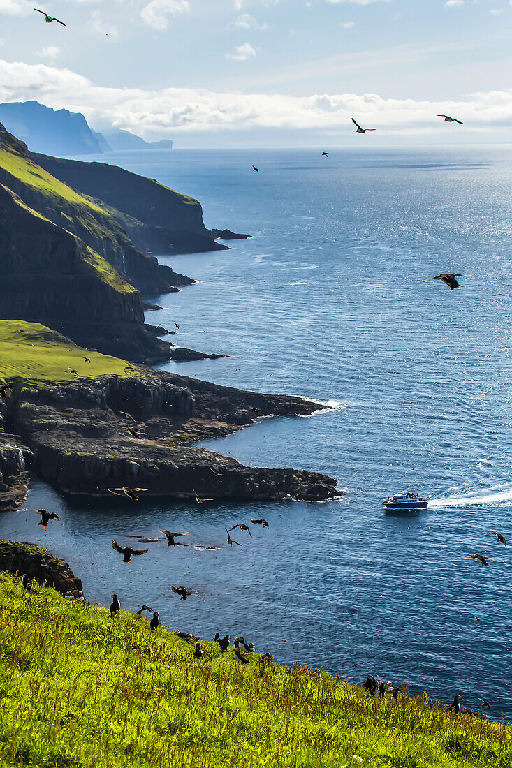 A ferry approaches the cliffs of a scenic island.