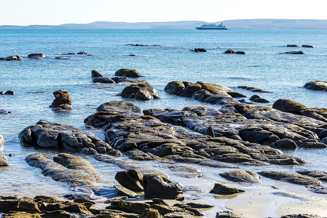 Fossilien und Muscheln in der Nähe des Berach Rock auf Jar Island in der Kimberley-Region im Nordwesten Australiens.