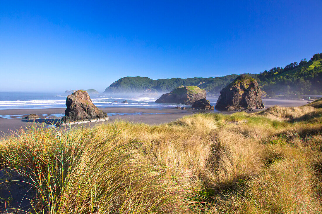 Morgenlicht verleiht dem Kap Sebastian entlang der Küste von South Oregon, Oregon, Vereinigte Staaten von Amerika, Schönheit