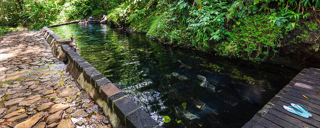 Flip Flops liegen auf einem Steg neben einer ruhigen, von üppigem Laub gesäumten Lagune, in der Menschen schwimmen, in den französischen Westindischen Inseln, Guadeloupe, Frankreich