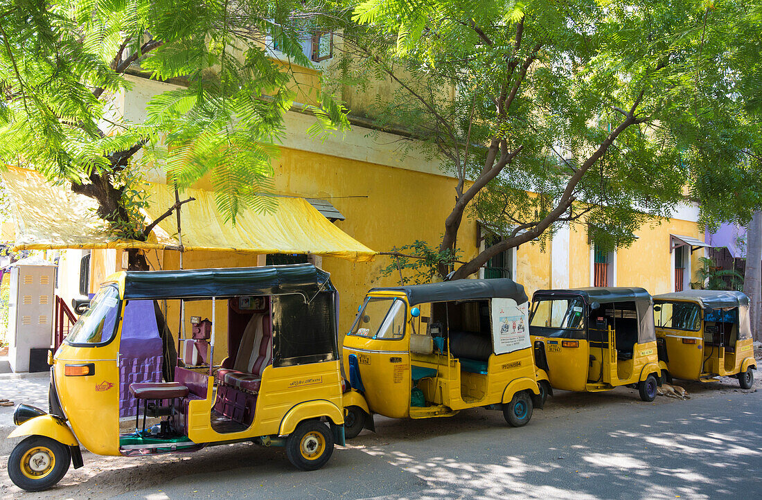 Auto-Rikschas entlang einer Straße in Puducherry, Indien, Puducherry, Tamil Nadu, Indien