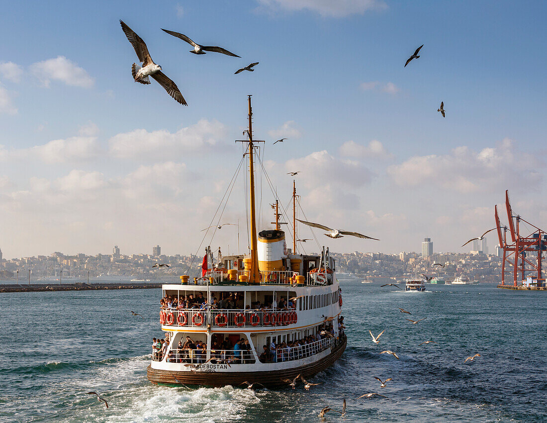 Fährschiff auf dem Bosporus mit der Stadt Istanbul im Hintergrund, Istanbul, Provinz Istanbul, Türkei