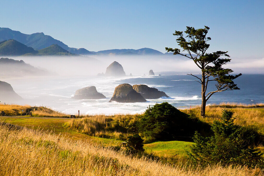 Morgennebel verleiht dem Ecola State Park mit Blick nach Süden zum Haystack Rock und Cannon Beach, Oregon, Vereinigte Staaten von Amerika, eine besondere Schönheit