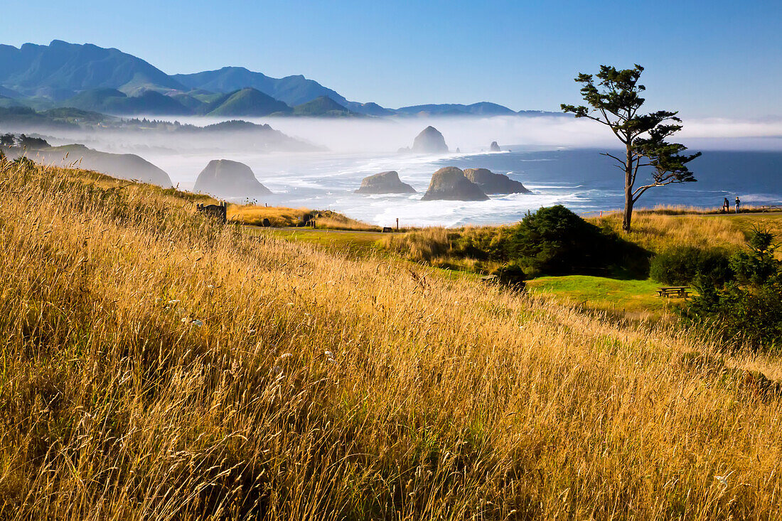 Morning fog adds beauty to Ecola State Park looking south to Haystack Rock and Cannon Beach,Oregon,United States of America