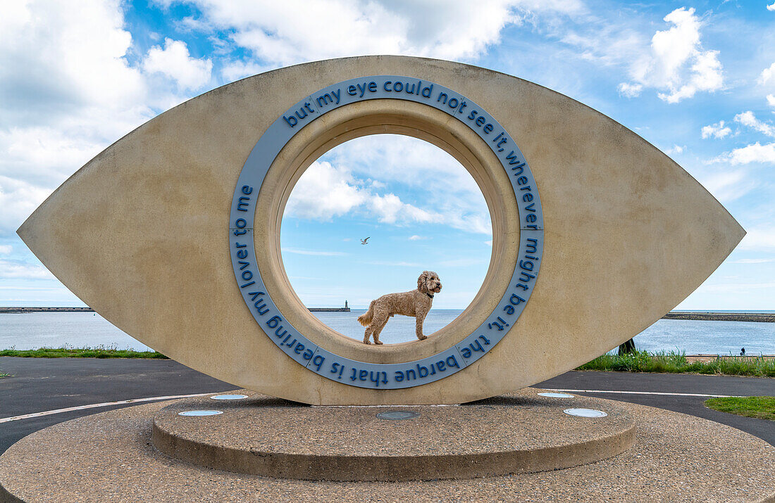 Hund steht in der Skulptur "The Eye" an der Littlehaven Promenade, South Shields, Tyne and Wear, England