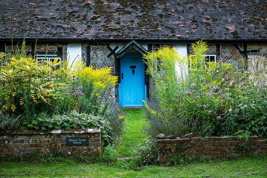 Blaue Tür an einem malerischen Cottage auf dem Lande mit blühenden Blumen in den Blumenbeeten des Hofes, England, Rockbourne, Wiltshire, England