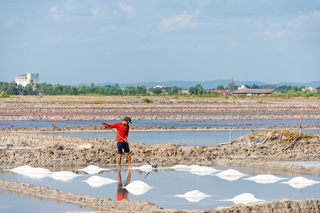 Reisanbau in einer Bauerngemeinde im Süden Kambodschas,Kampot,Kambodscha