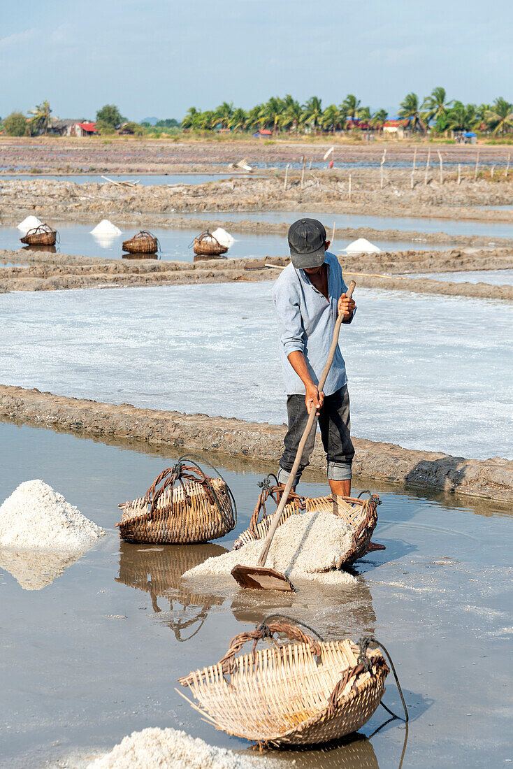 Reisanbau in einer Bauerngemeinde im Süden Kambodschas,Kampot,Kambodscha