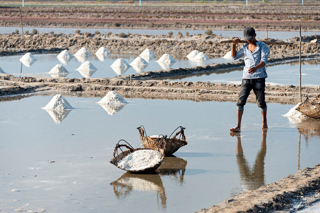 Rice farming in a farming community in Southern Cambodia,Kampot,Cambodia