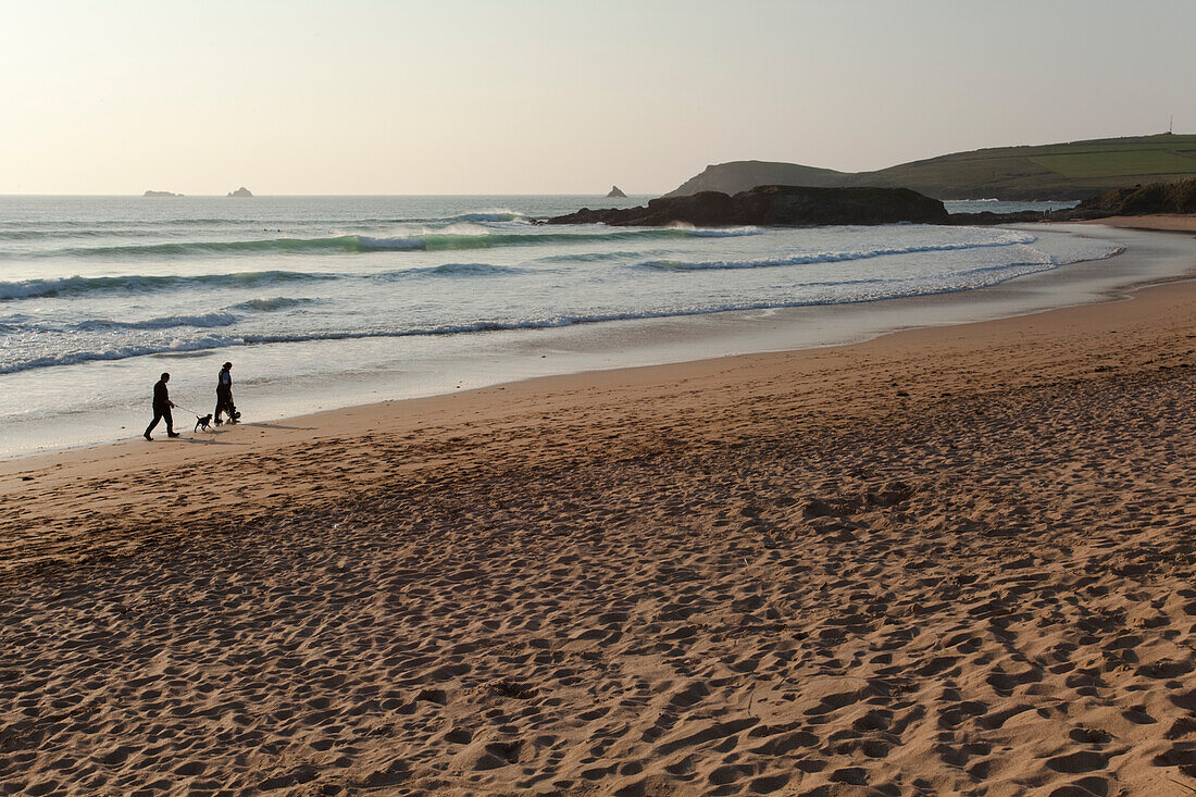 Spaziergang mit dem Hund entlang der Constantine Bay, in der Nähe von Padstow, Cornwall, Großbritannien, Cornwall, England