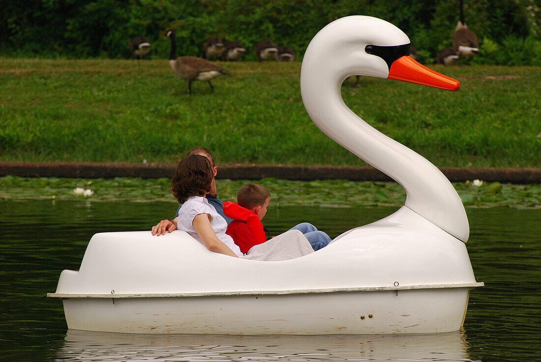 Eine Familie genießt einen Ausflug in einem Schwanenboot auf einem Teich in einem Park, Providence, Rhode Island.