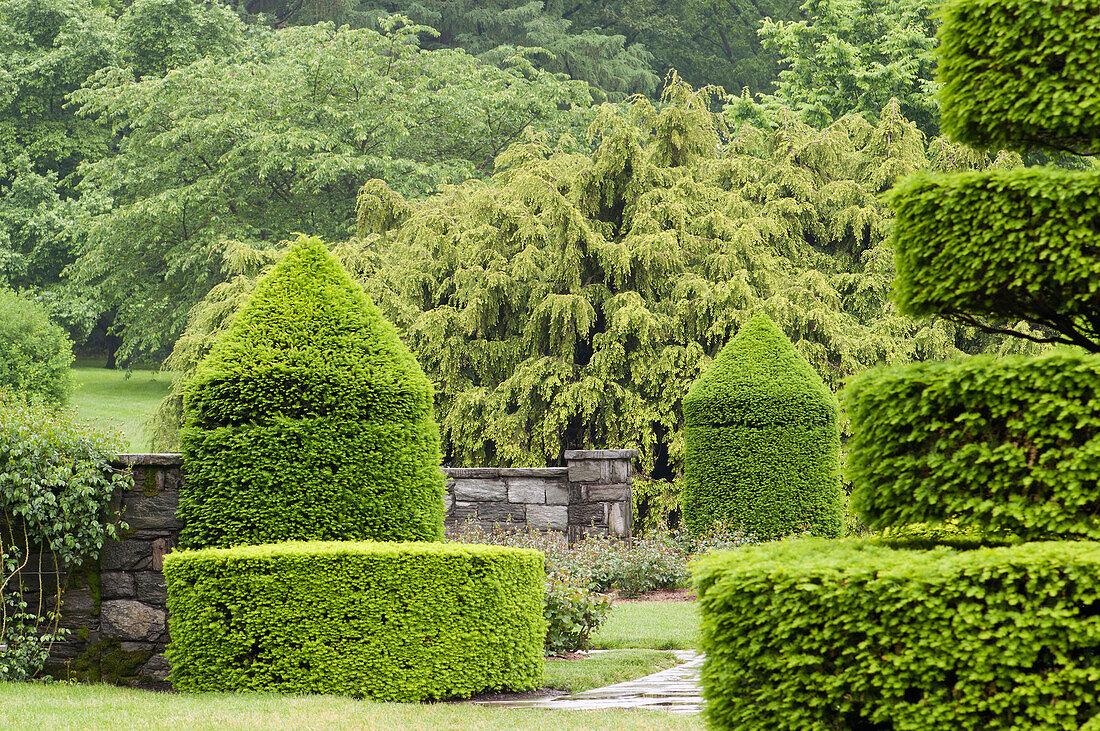 A topiary garden in spring.,Longwood Gardens,Pennsylvania.