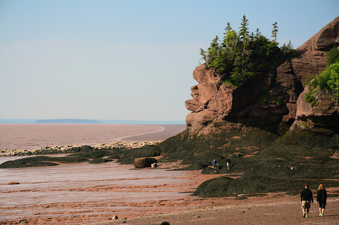 Touristen, die bei Ebbe in der Nähe von Felsformationen und der Bay of Fundy spazieren gehen.,Hopewell Rocks Ocean Tidal Exploration Site, Hopewell Cape, New Brunswick, Kanada.