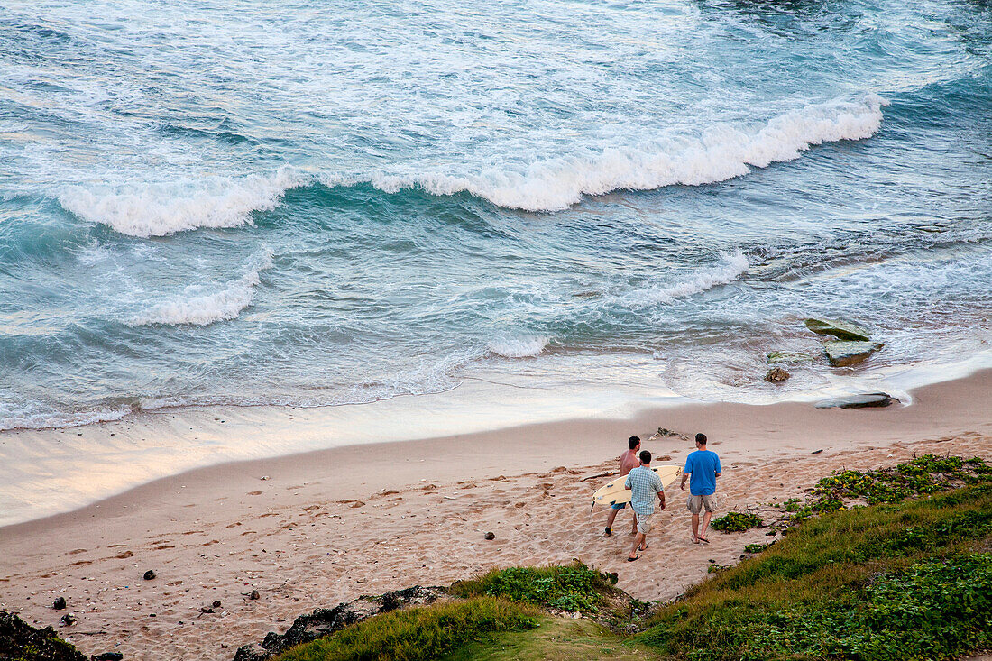 High angle view of surfers on the beach at the water's edge,Bathsheba,Barbados