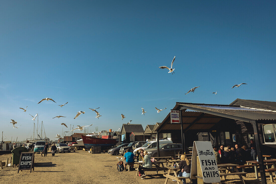 Seagulls and a fish and chips restaurant in the coastal town of Southwold,Suffolk,UK,Southwold,Suffolk,England