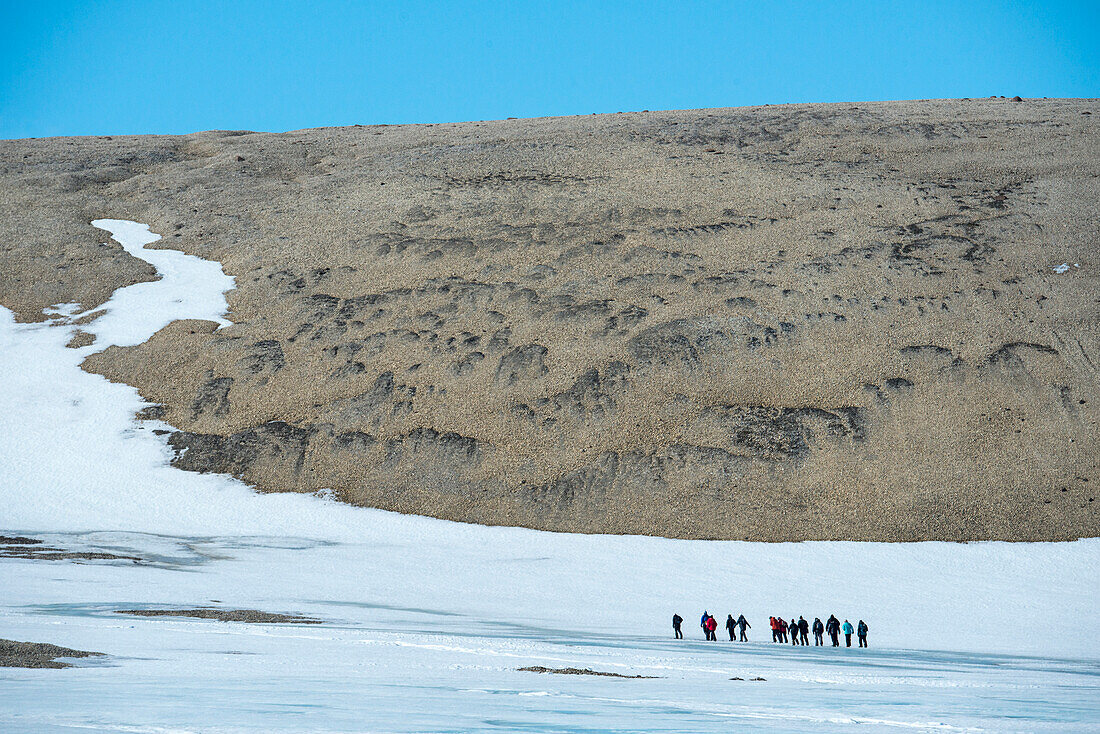 Group hikes along the shore of fjord Palanderbukta,Nordaustlandet,Svalbard,Norway