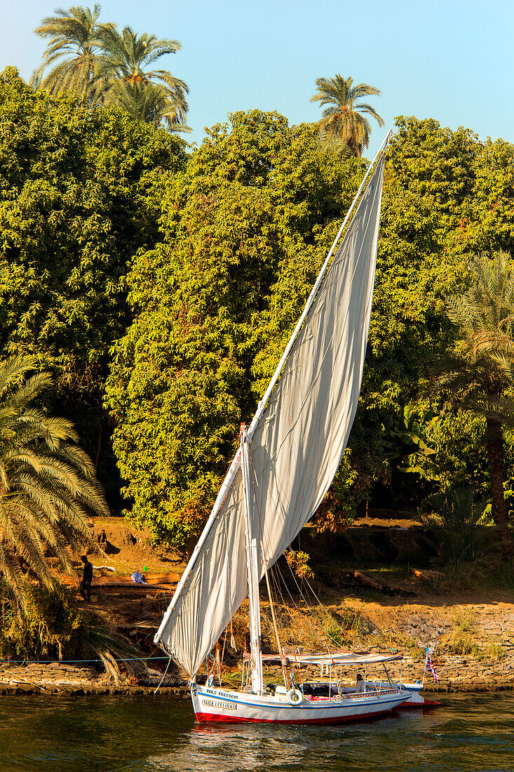 Felucca along the banks of the Nile river in Egypt,Egypt