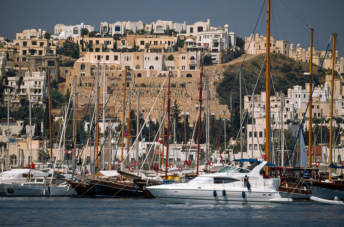 Boats docked in Bodrum harbor with houses on a hill in the background,Bodrum,Republic of Turkiye