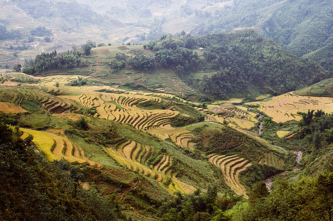 Rice Fields,Sa Pa,Lao Cai Province,Vietnam