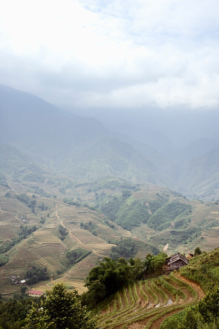 Rice Fields,Sa Pa,Lao Cai Province,Vietnam