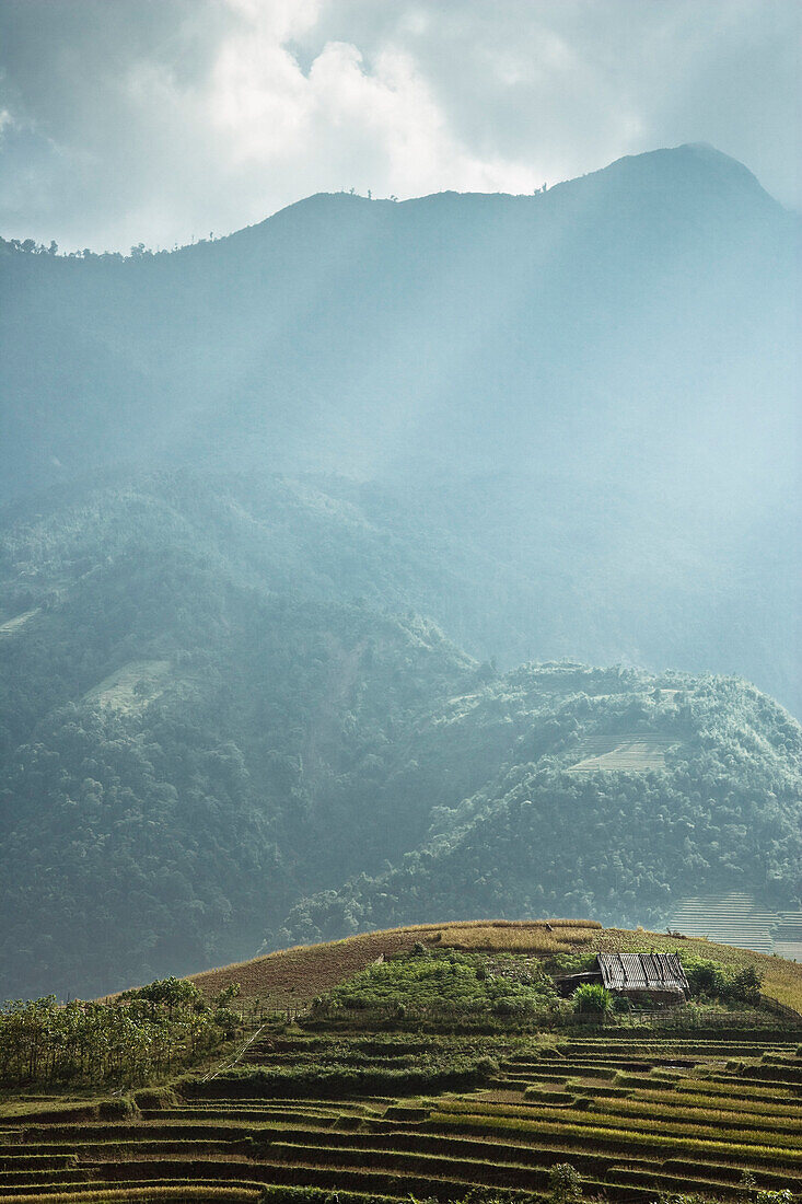 Reisfelder, Sa Pa, Provinz Lao Cai, Vietnam