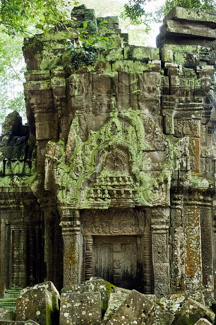 Ta Prohm Temple,Angkor,Cambodia