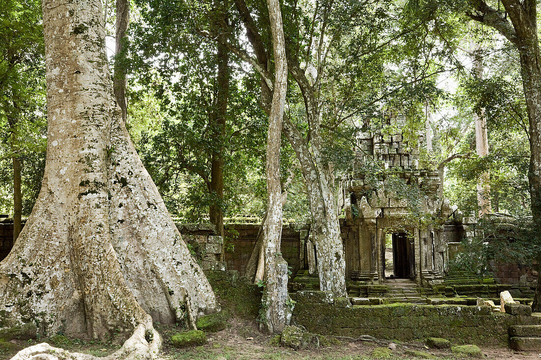 Ankgor Thom,Angkor,Cambodia