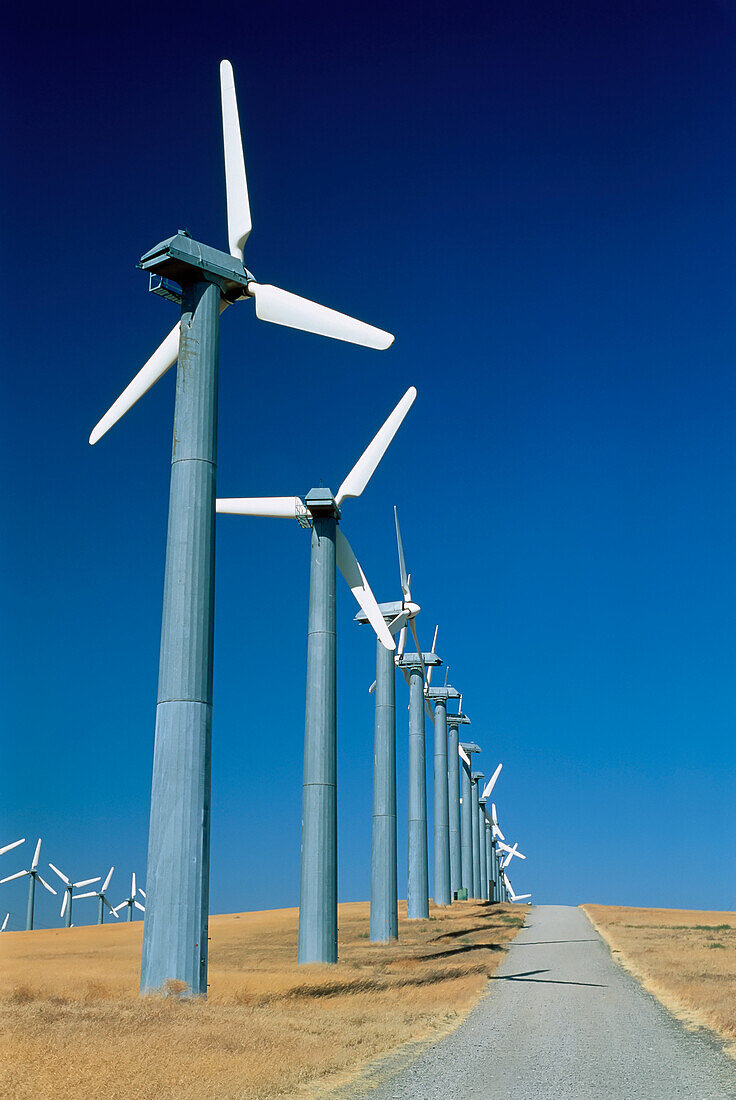 Electricity Generating Wind Turbines Near Byron,California,USA