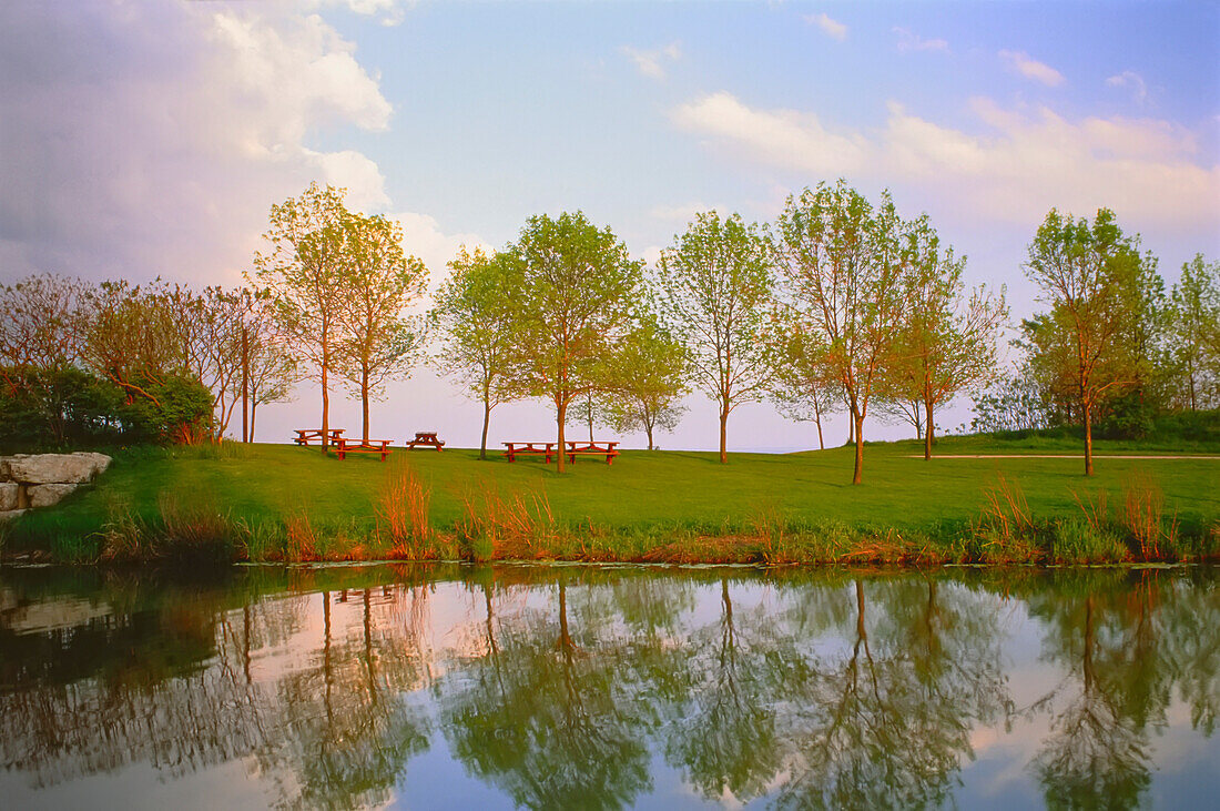 Bäume und Reflektionen Humber Bay Park, Toronto Ontario, Kanada