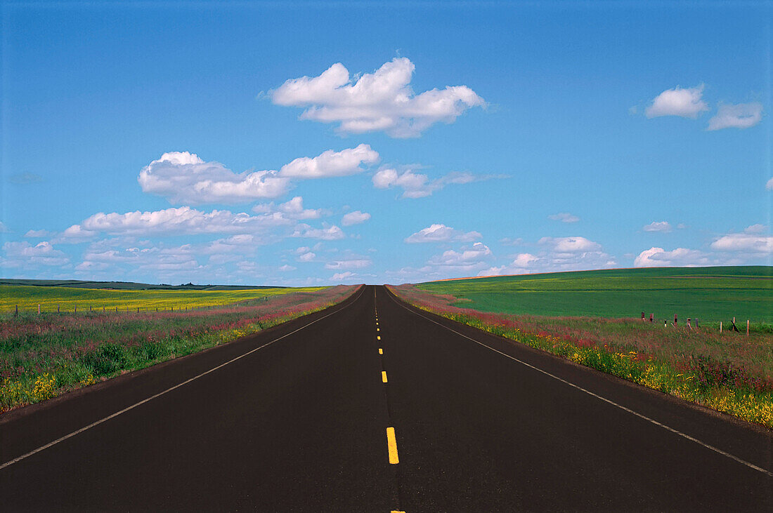 Prairie Highway Route 851, östlich von Drumheller Alberta, Kanada