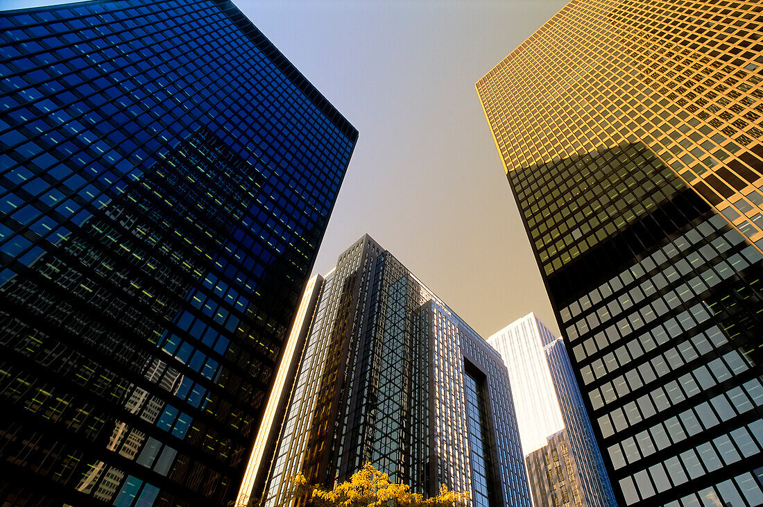 Looking Up at Office Towers Toronto,Ontario,Canada